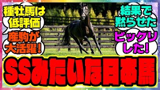 『日本馬にもサンデーサイレンスみたいな馬っていなかったの？』対するみんなの反応集 まとめ ウマ娘プリティーダービー 競馬の反応集